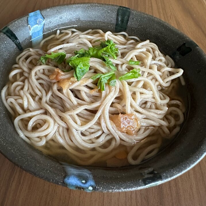 さっぱり*梅めんつゆでぶっかけそば *ꕤ*.゚